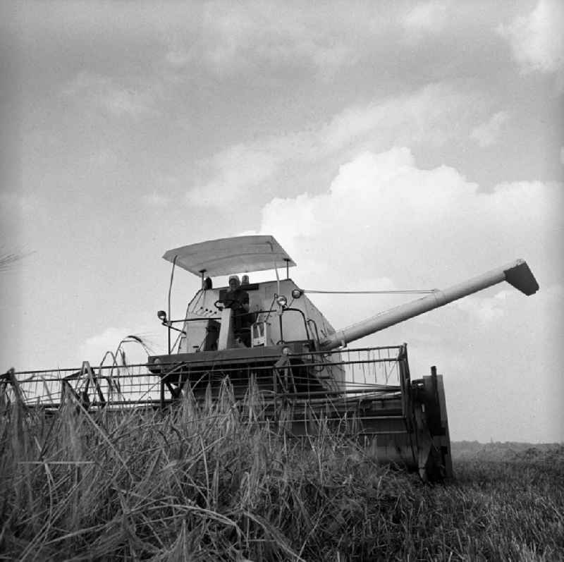 Combine harvester during harvesting of the German Agricultural Production Cooperative LPG ' Rotes Banner ' in Trinwillershagen in Mecklenburg-Western Pomerania