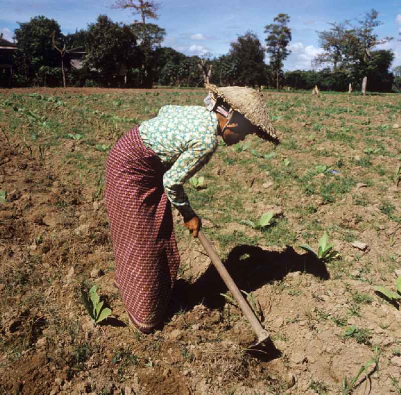 Eine Frau beim Hacken eines Feldes in der Demokratischen Volksrepublik Laos.