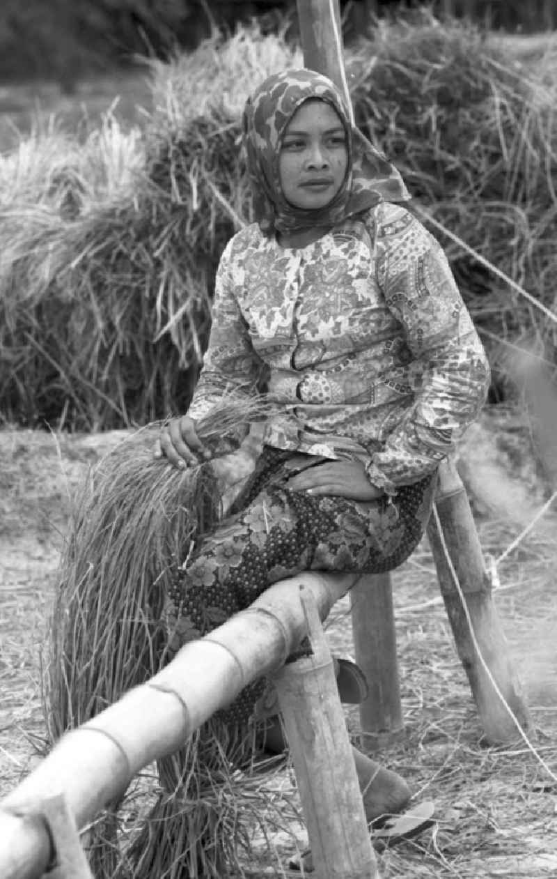 Eine Frau macht eine Pause während der Reisernte auf einem Feld in der Demokratischen Volksrepublik Laos.