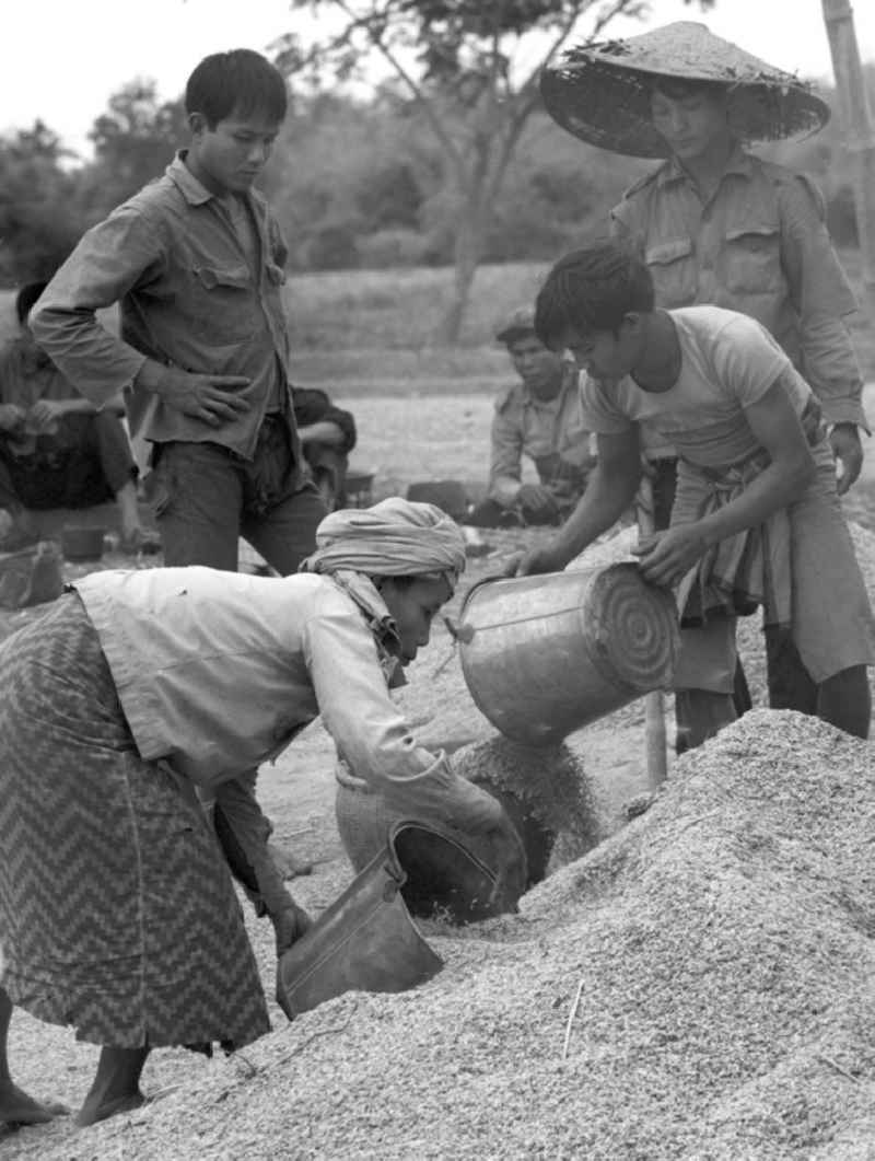 Der gedroschene Reis wird mittels Eimern zum Weitertransport in Säcke verladen, aufgenommen während der Reisernte auf einem Feld in der Demokratischen Volksrepublik Laos.