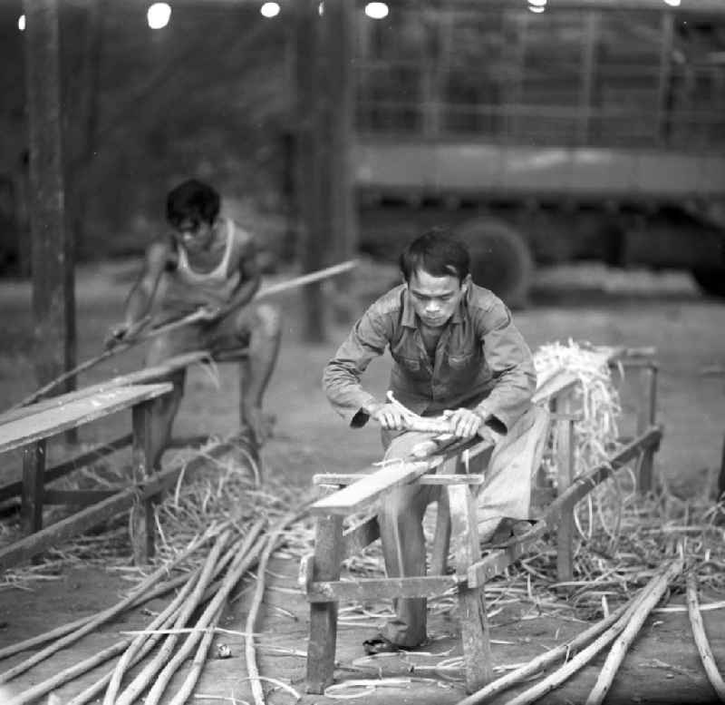 Arbeiter in einer Bambusmöbelfabrik in Vientiane in der Demokratischen Volksrepublik Laos.