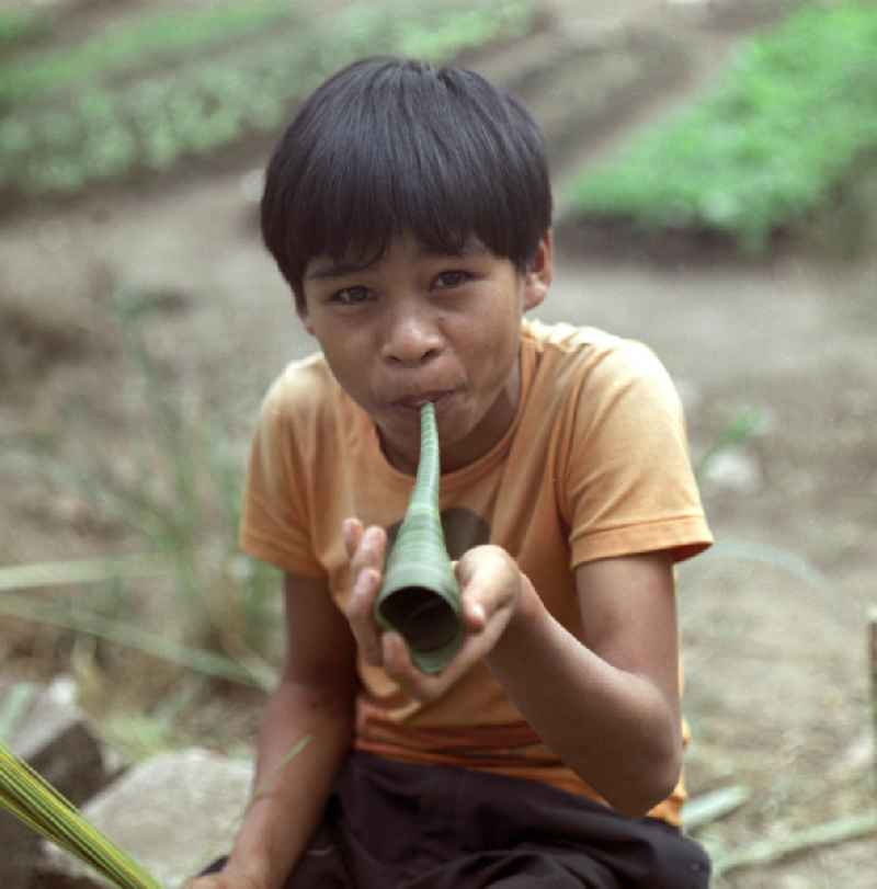 Ein Junge mit einer selbst gebastelten 'Flöte' aus den Blättern einer Palme in Vientiane in der Demokratischen Volksrepublik Laos.