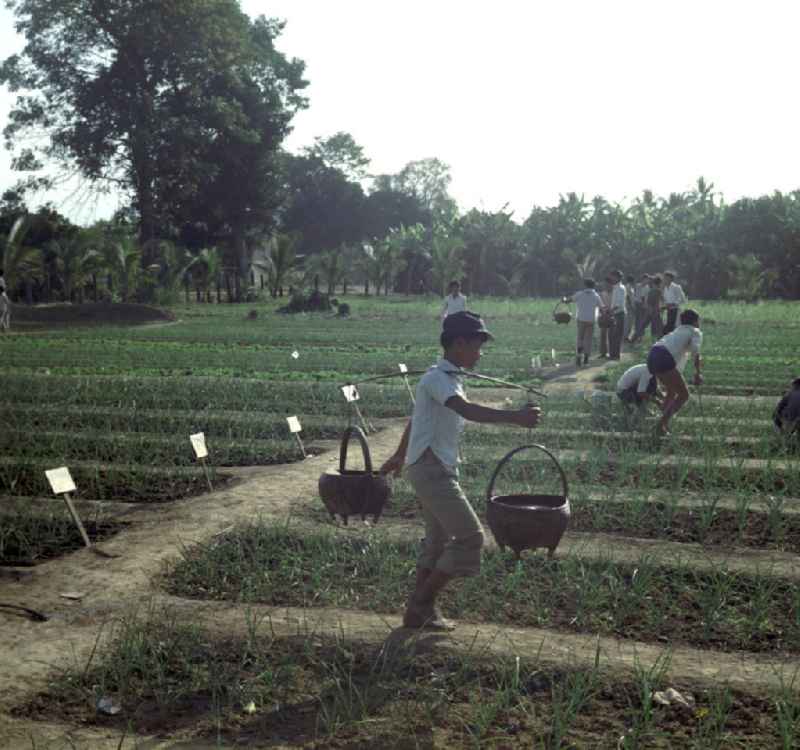 Kinder bewässern die Pflanzen im Schulgarten in einem Dorf in der Demokratischen Volksrepublik Laos.