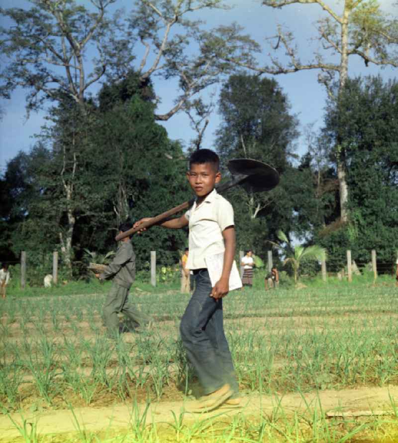 Kinder arbeiten und lernen im Schulgarten in einem Dorf in der Demokratischen Volksrepublik Laos.