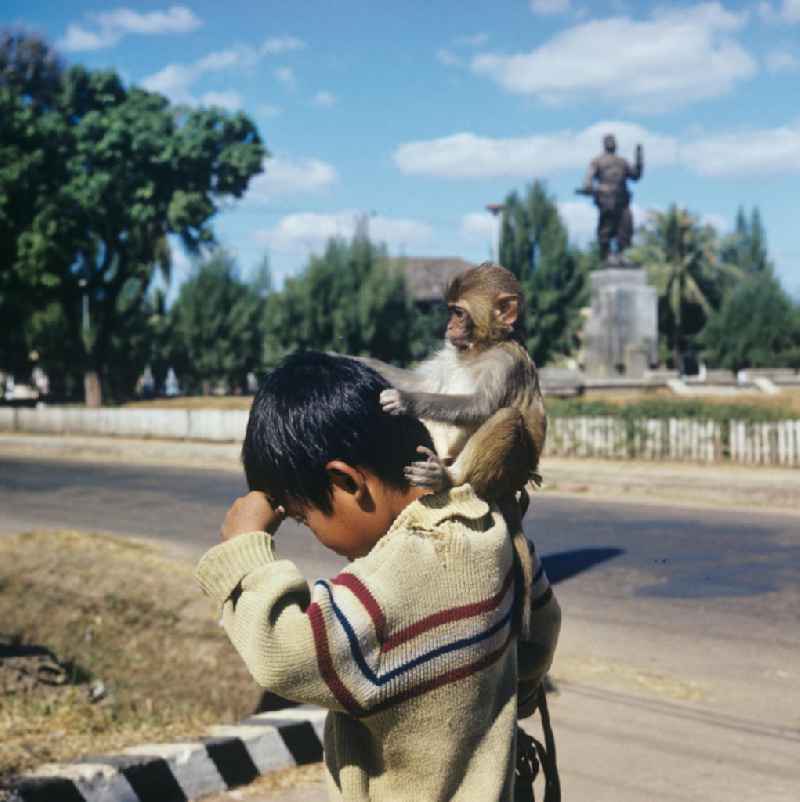 Ein Affe sitzt auf der Schulter eines Jungen und 'laust' ihn auf einer Straße in Vientiane in der Demokratischen Volksrepublik Laos.