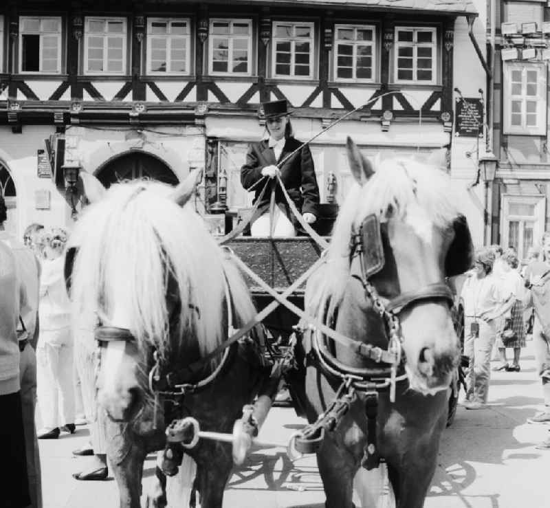 Horse carriage at the market place in Wernigerode in the state Saxony-Anhalt on the territory of the former GDR, German Democratic Republic