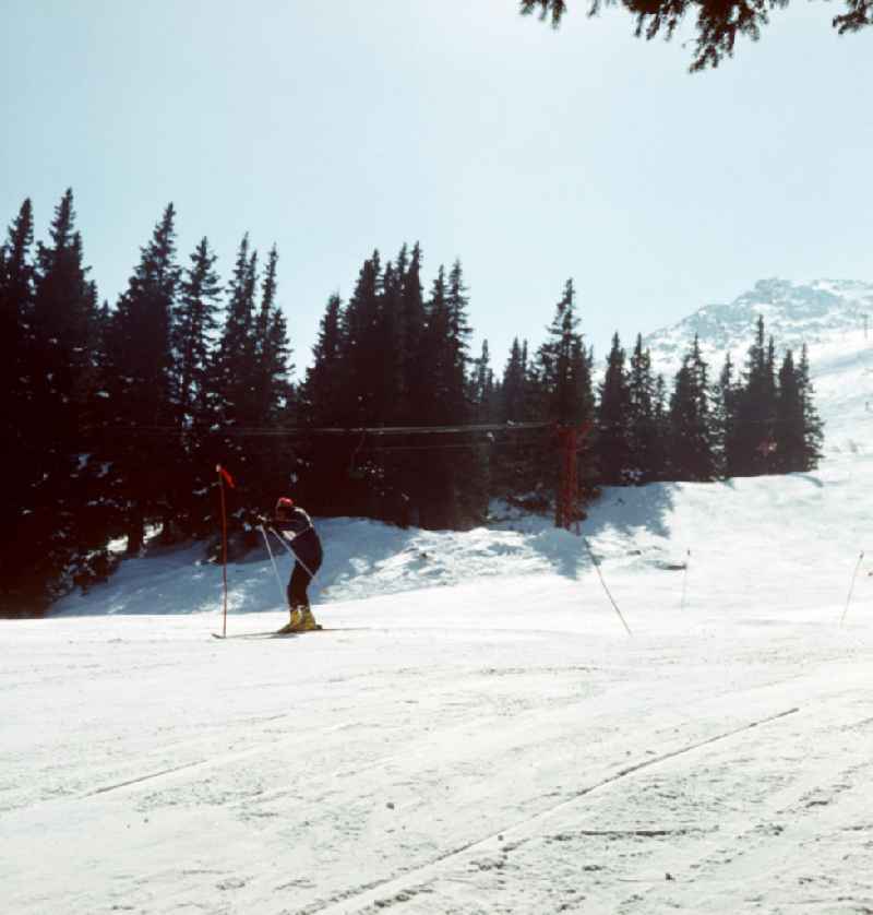 Skifahrer auf der Piste im bulgarischen Witoscha-Gebirge, im Hintergrund der Skilift. Das Witoschagebirge gehörte zu DDR-Zeiten zu den beliebtesten Wintersportgebieten im sozialistischen Ausland.