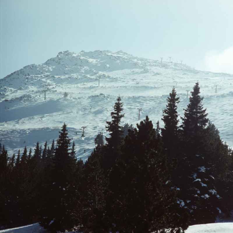 Skifahrer auf den Skipisten im bulgarischen Witoscha-Gebirge. Das Witoschagebirge gehörte zu DDR-Zeiten zu den beliebtesten Wintersportgebieten im sozialistischen Ausland.
