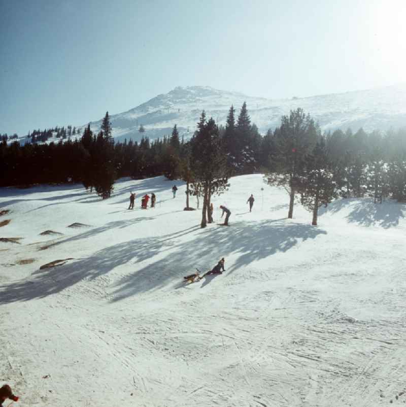 Touristen vergnügen sich im Schnee im bulgarischen Witoscha-Gebirge. Das Witoschagebirge gehörte zu DDR-Zeiten zu den beliebtesten Wintersportgebieten im sozialistischen Ausland.