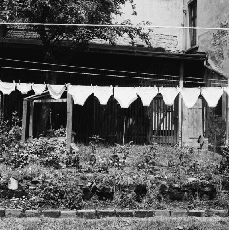 Clothesline with freshly washed laundry in a backyard in Zittau in the state Saxony on the territory of the former GDR, German Democratic Republic
