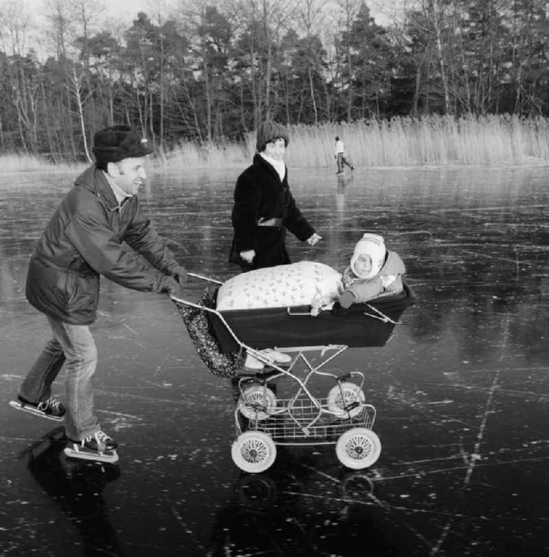Ice skating with pram on the frozen Motzener See in Zossen in the federal state Brandenburg on the territory of the former GDR, German Democratic Republic